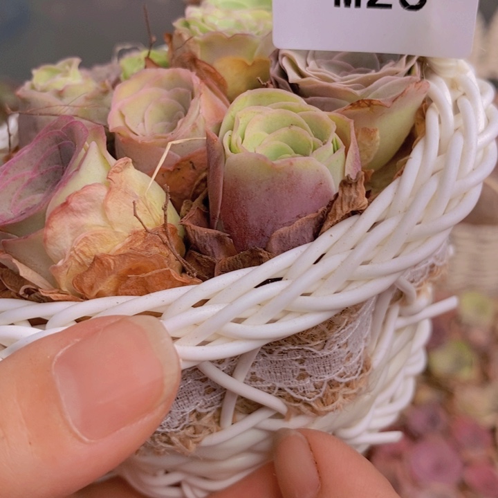 26一碗多品种小批量组合