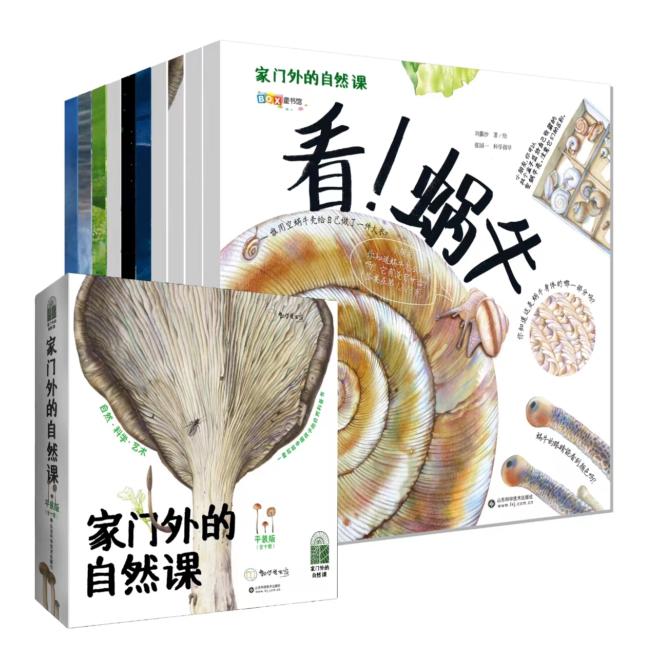 家门外的自然课十本套一起发现中国孩子身边不一样的大自然
