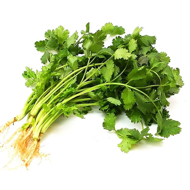 香菜约200g/份