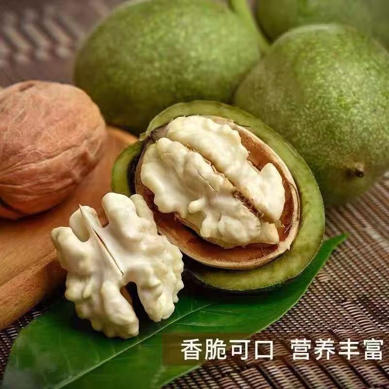 绛优优2024山西中条山老树核桃新鲜采摘青皮鲜核桃孕妇生核桃5斤