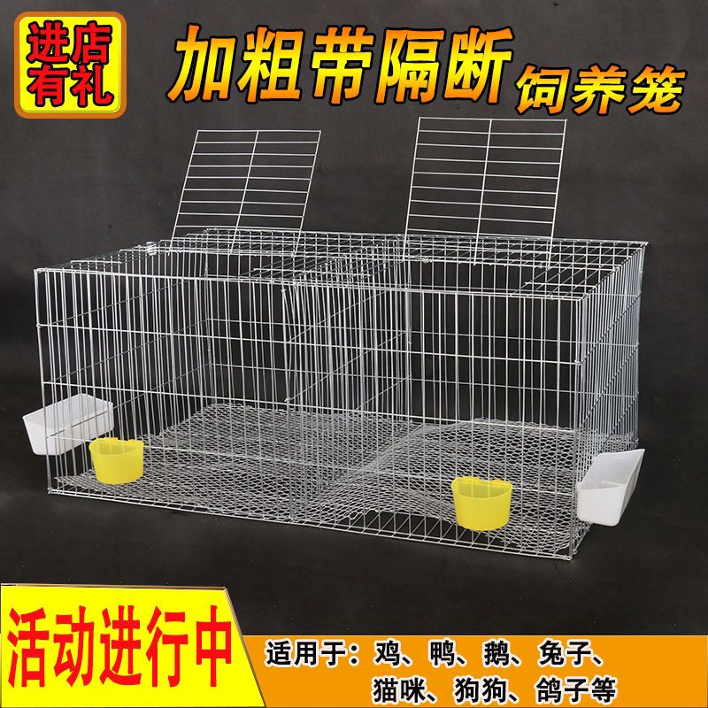 【小扬哥甄选】兔子笼鸡笼子家用鸽子养殖笼鹌鹑笼镀锌铁丝笼鸽子
