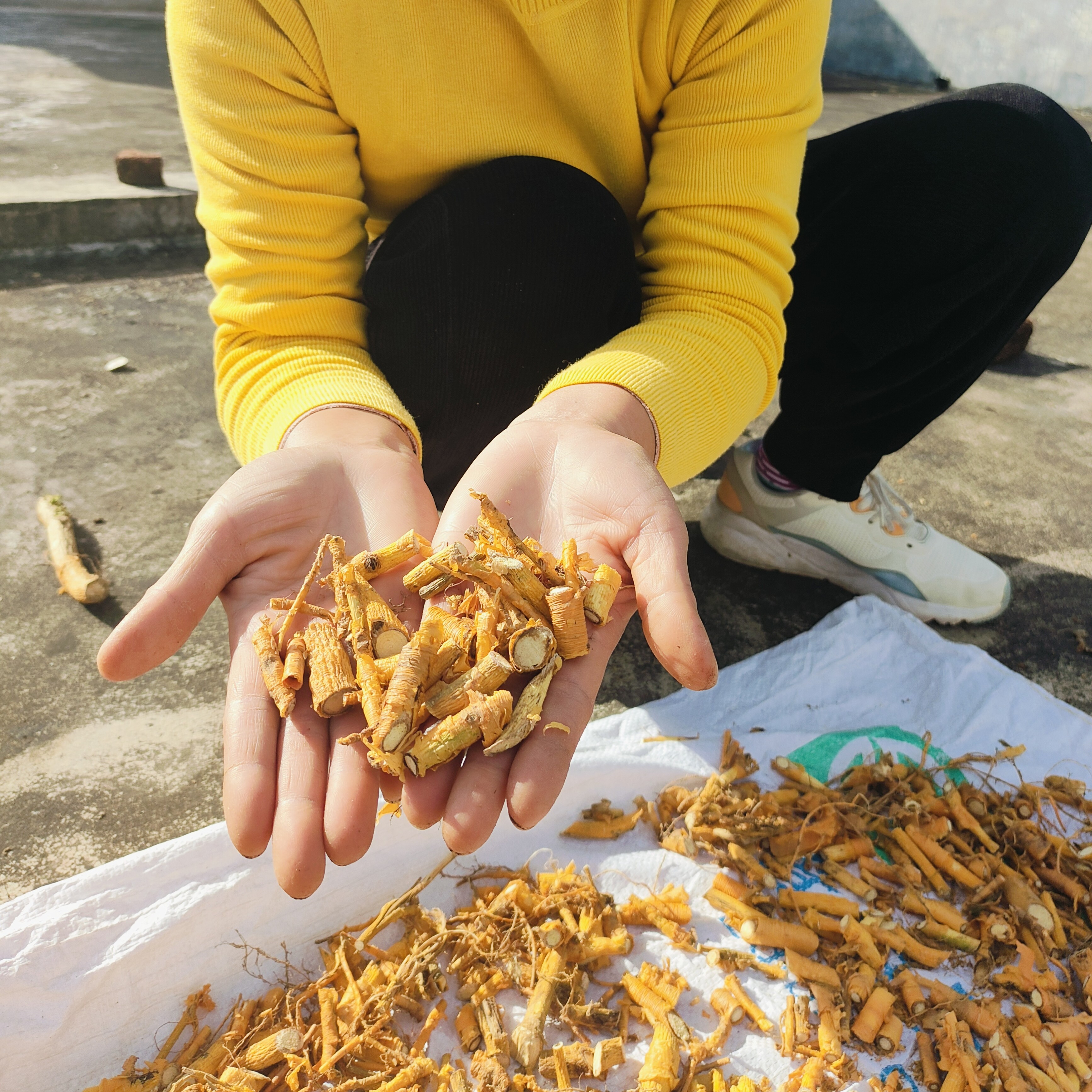 穿破石根茎蔬菜构棘根小柘树根 九层皮晒干250克江西