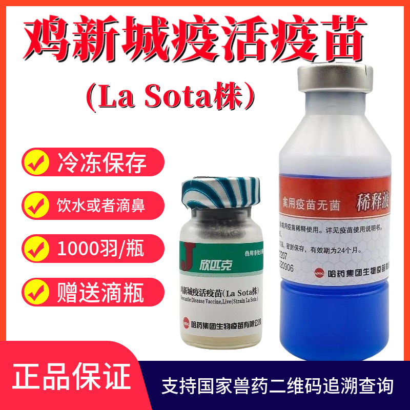 哈药正品鸡新城疫活疫苗鸡四系鸡瘟疫苗1000羽/瓶鸡疫苗滴眼饮水