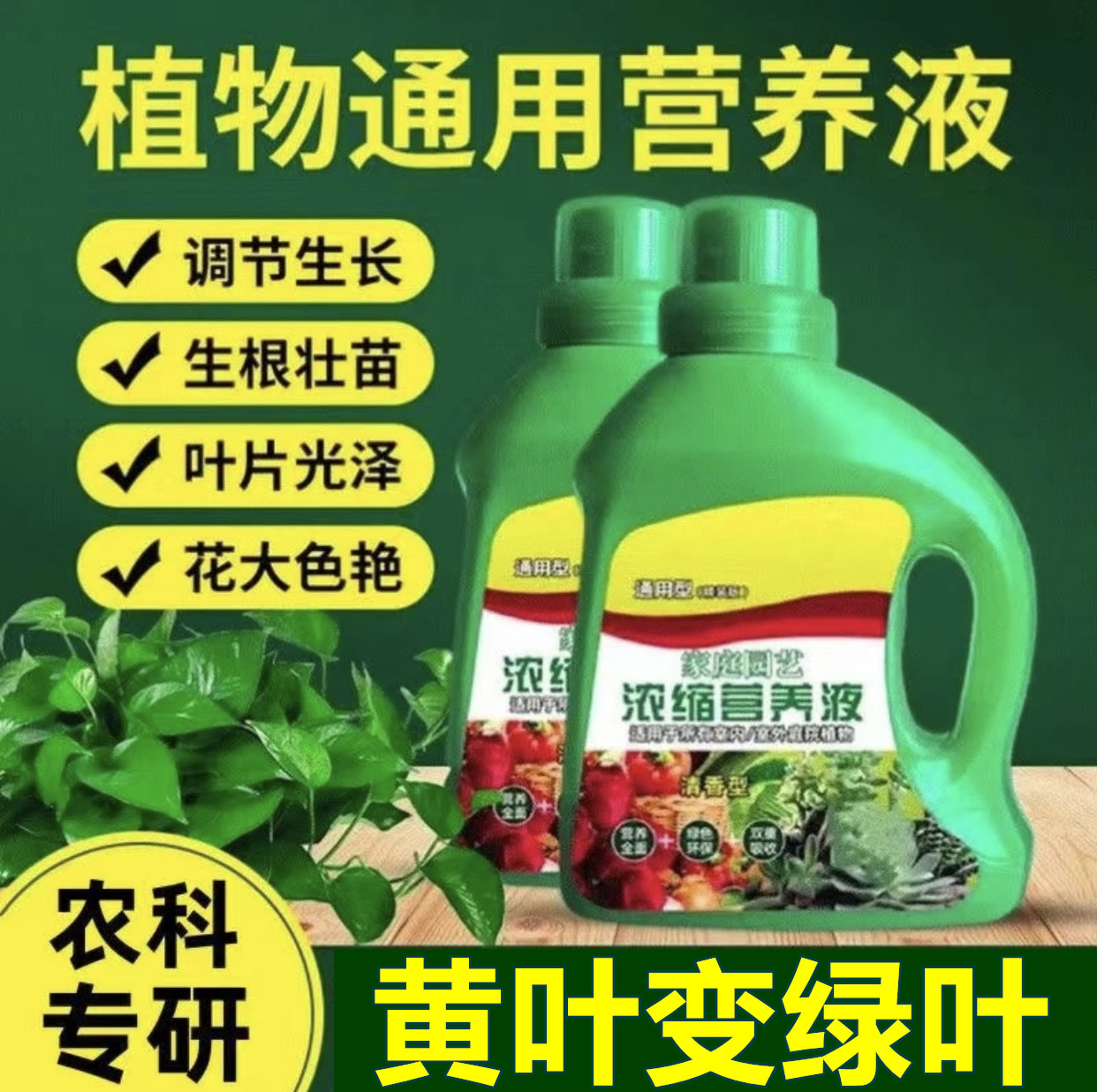 【养花通用浓缩型】植物专用营养液  水培专用营养液  快速生根液