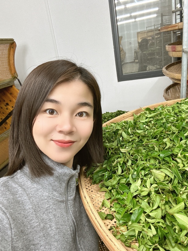 【高山老树蜜兰香】250g 春茶凤凰单丛茶