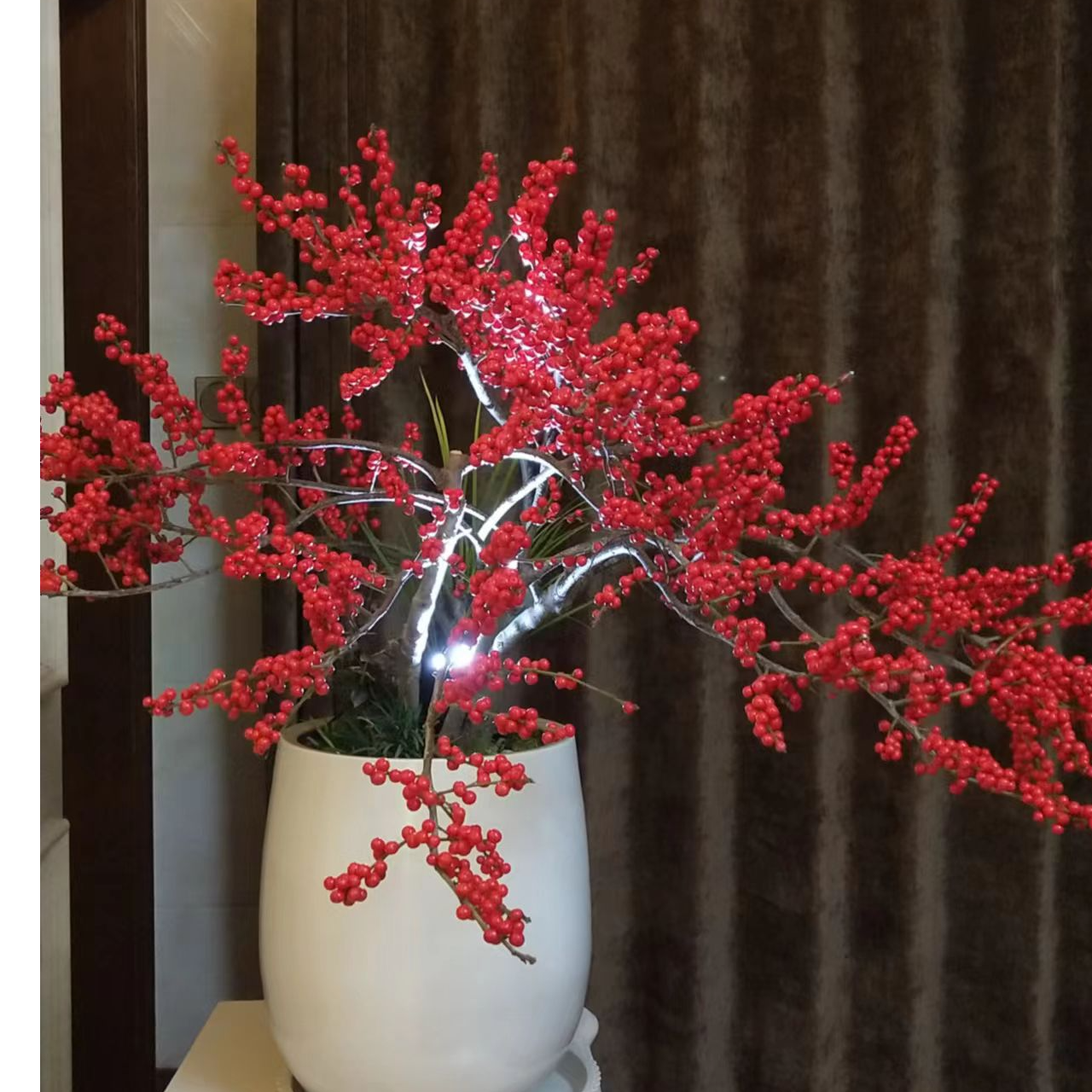 【直播福利一物一拍】北美冬青老桩盆栽喜庆耐寒观果植物