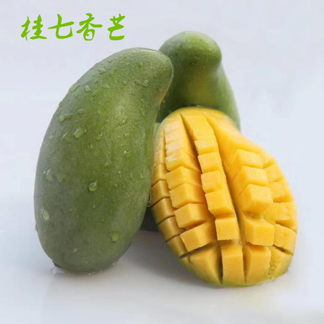百色芒果桂七芒香甜爆汁果大净重9斤