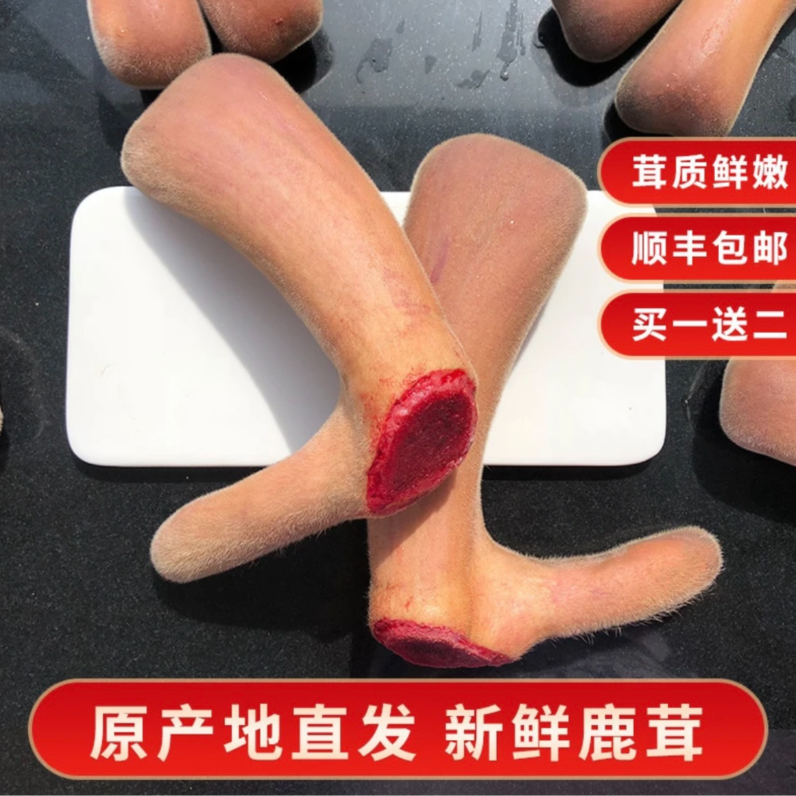 东北特产 鲜鹿茸 二杠鹿茸 头茬鹿茸 直播间选购 煲汤 泡酒 炖 煮