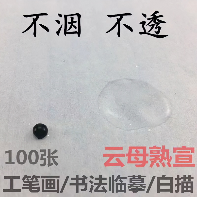 传文云母熟宣宣纸工笔国画练习创作临摹书法装裱白描花鸟细腻厚实