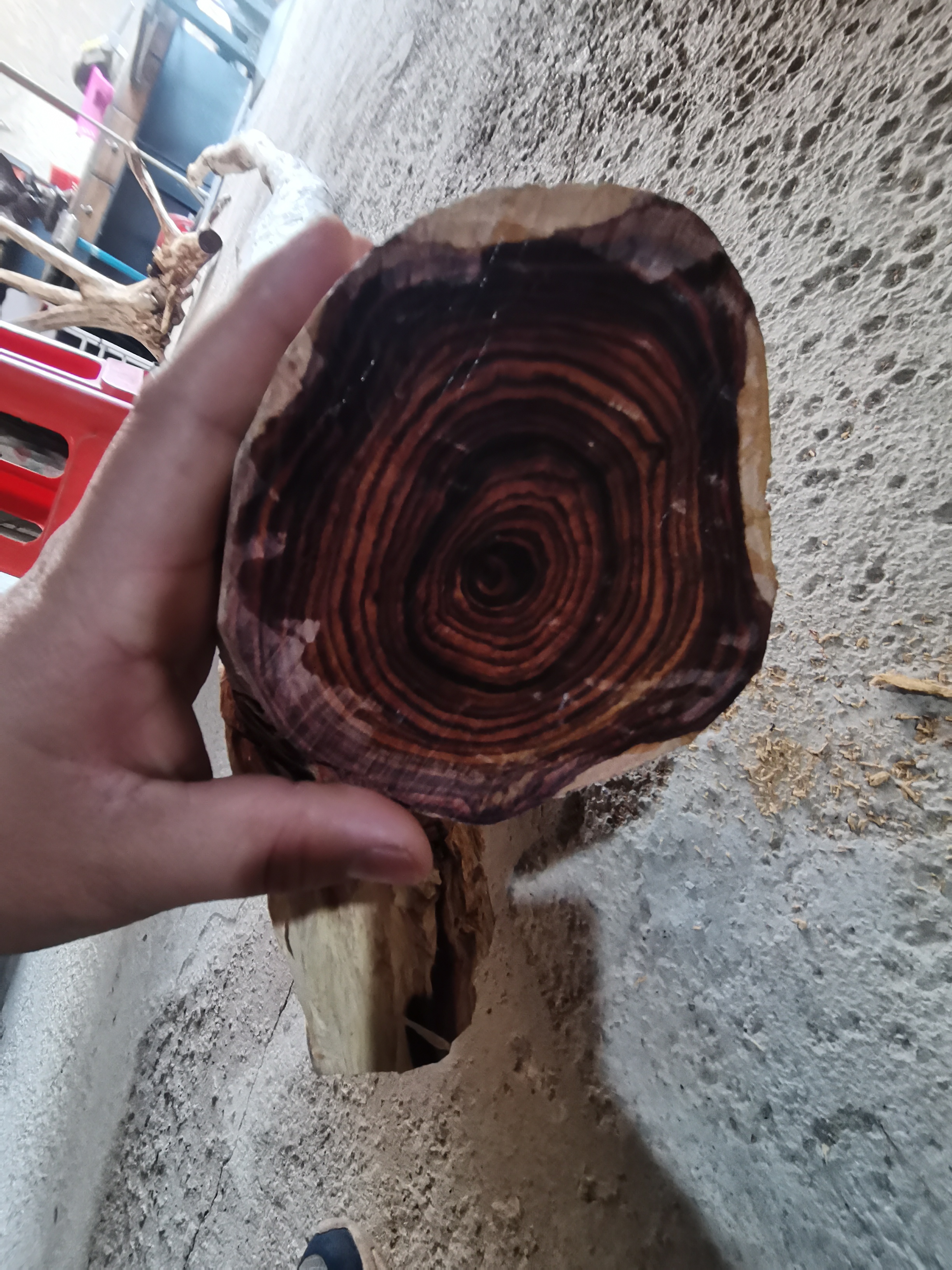   臻艺缘海南黄花梨真缘商品