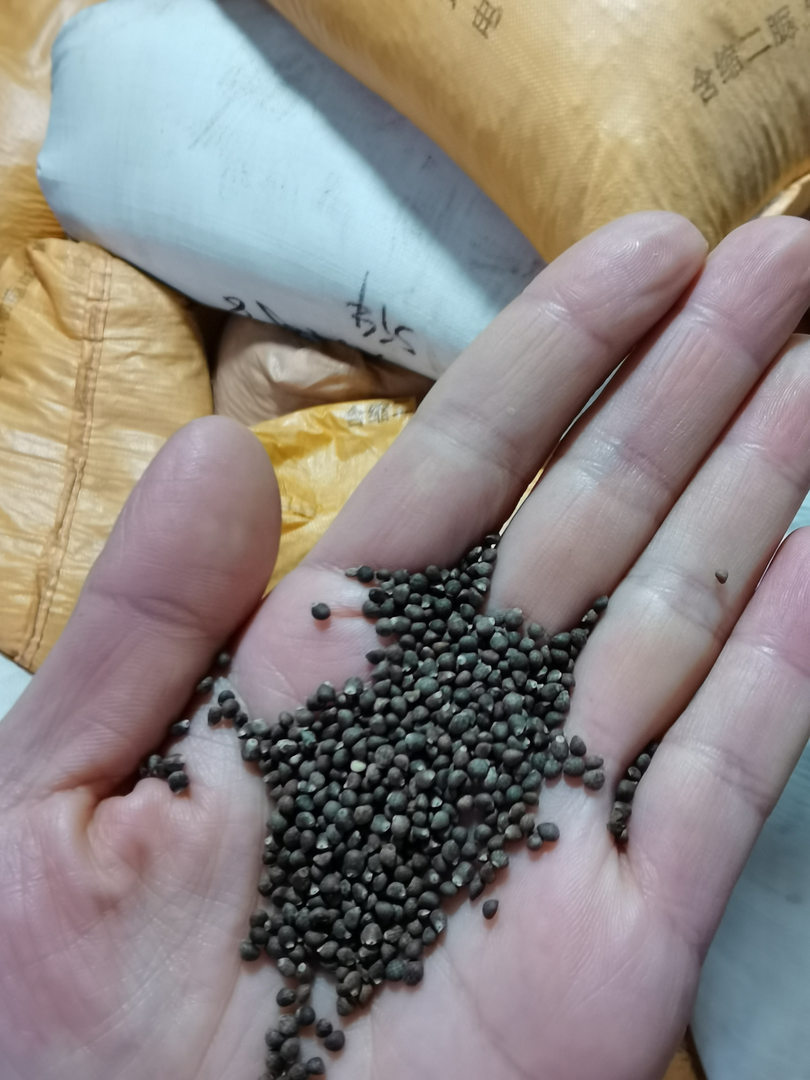 500克紫苏籽 生的 