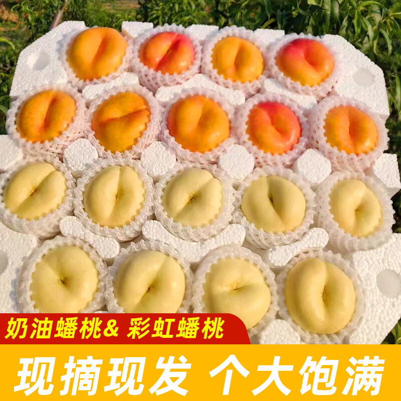 【双拼】 奶油蟠桃 彩虹蟠桃 组合装 各2斤合计4斤饱满冷藏