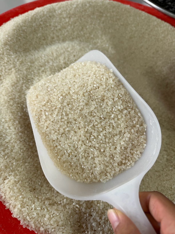 山东本地大米有香味