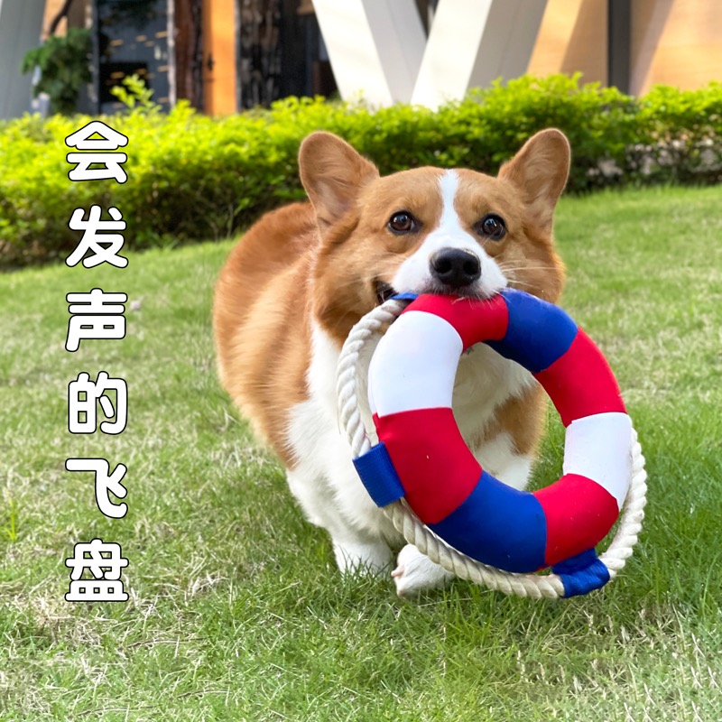 游泳圈狗狗猫猫玩具绳结发声玩具漂浮玩具