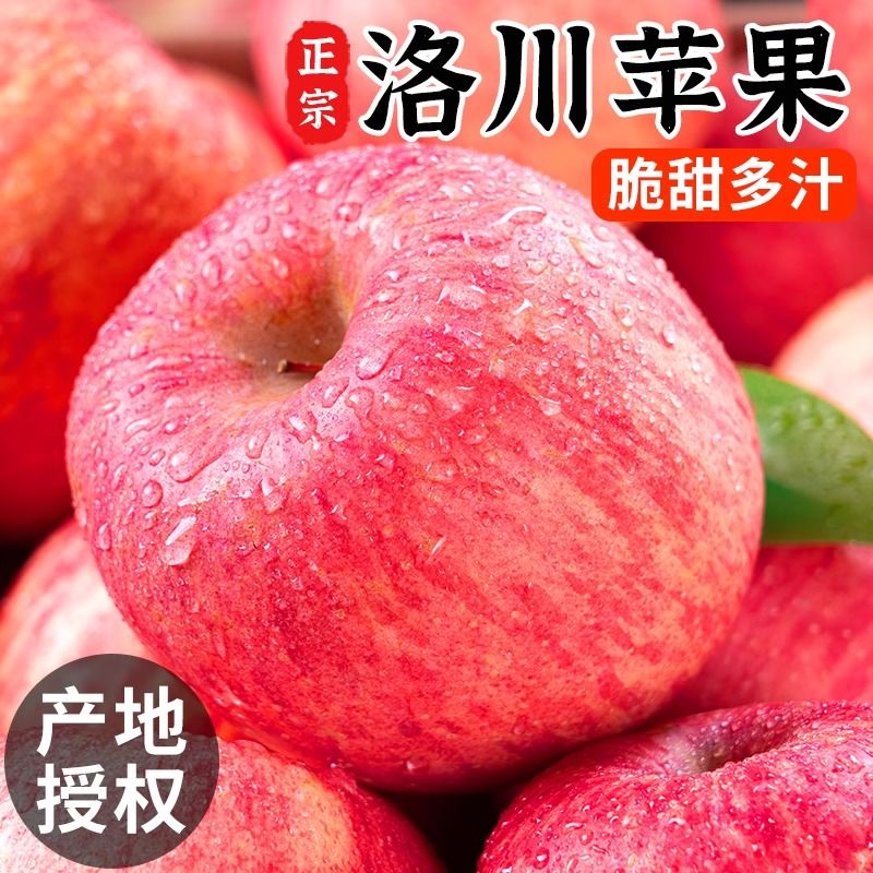 烟台苹果2/5/9斤脆甜多汁 新鲜水果农产品新果栖霞红富士苹果香甜