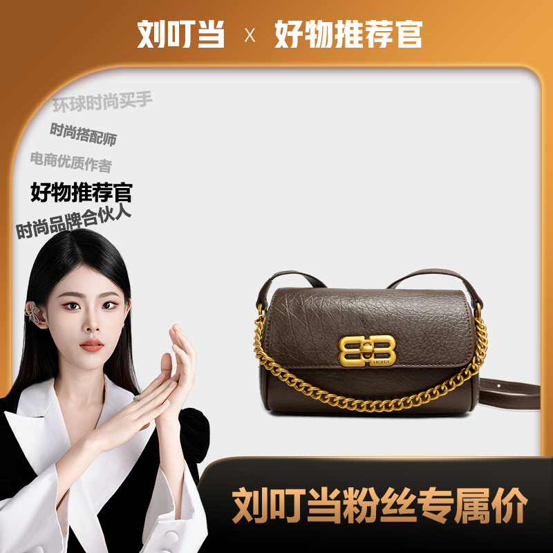 【刘叮当甄选】（长22高12厚9）新款时尚包包女咖啡色1029【无礼盒】