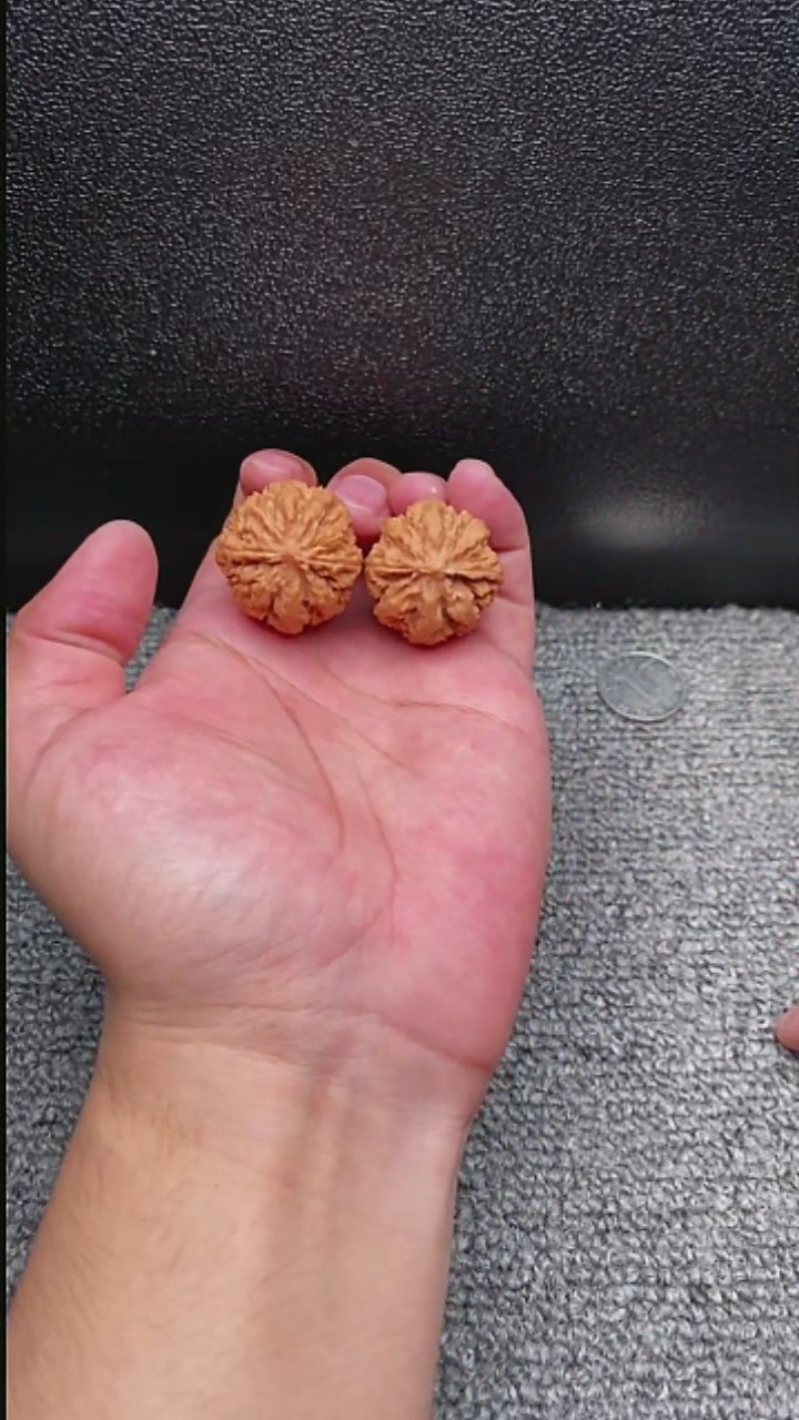 【闪购商品】文玩核桃把件秋子2号