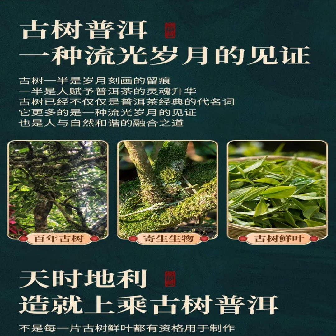 2024年 百花潭龙珠 普洱茶生茶8克