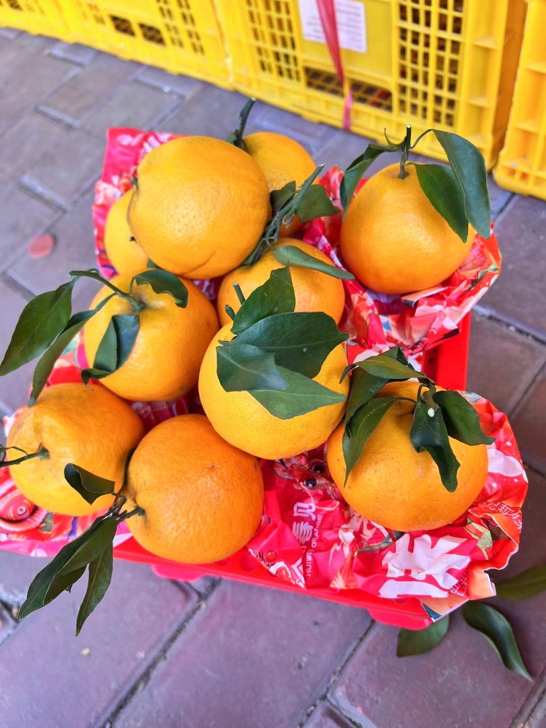 爆汁巴巴柑一箱