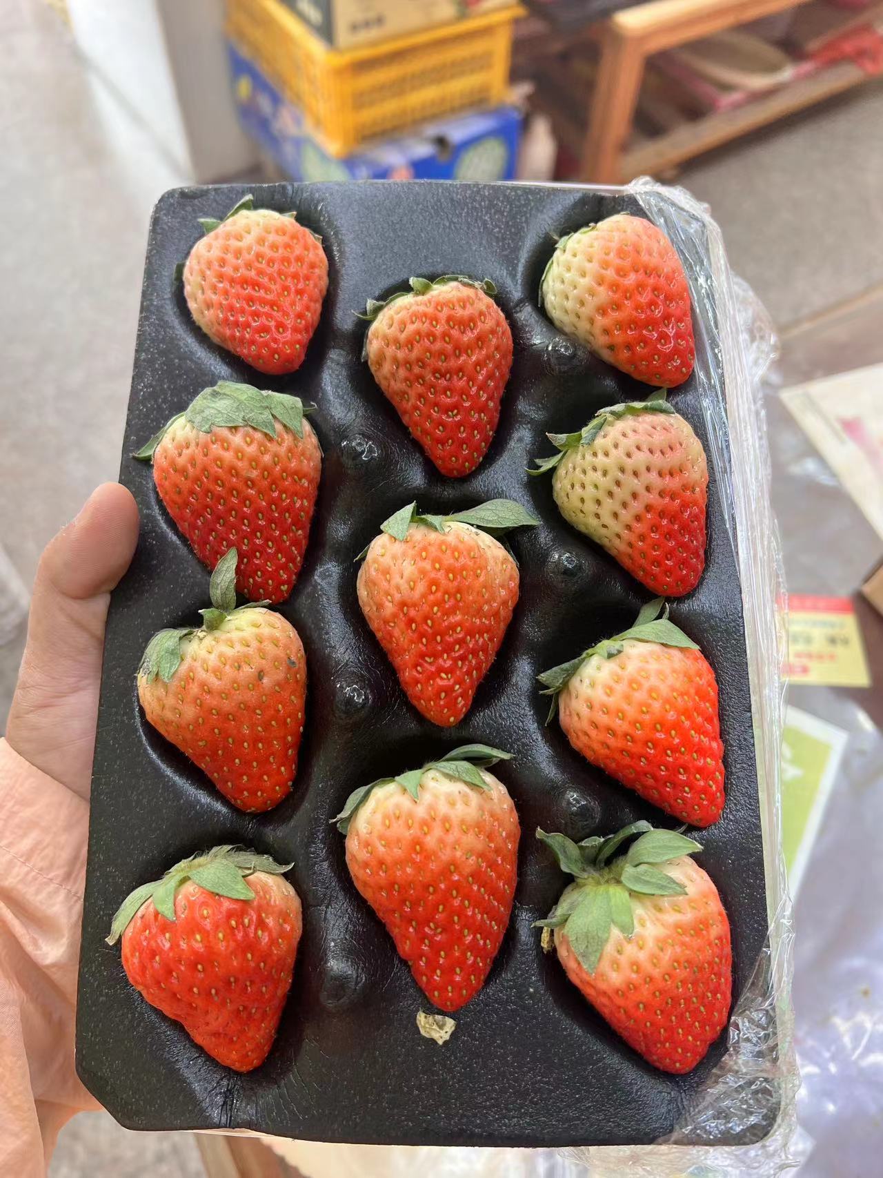 丹东奶油草莓一盒