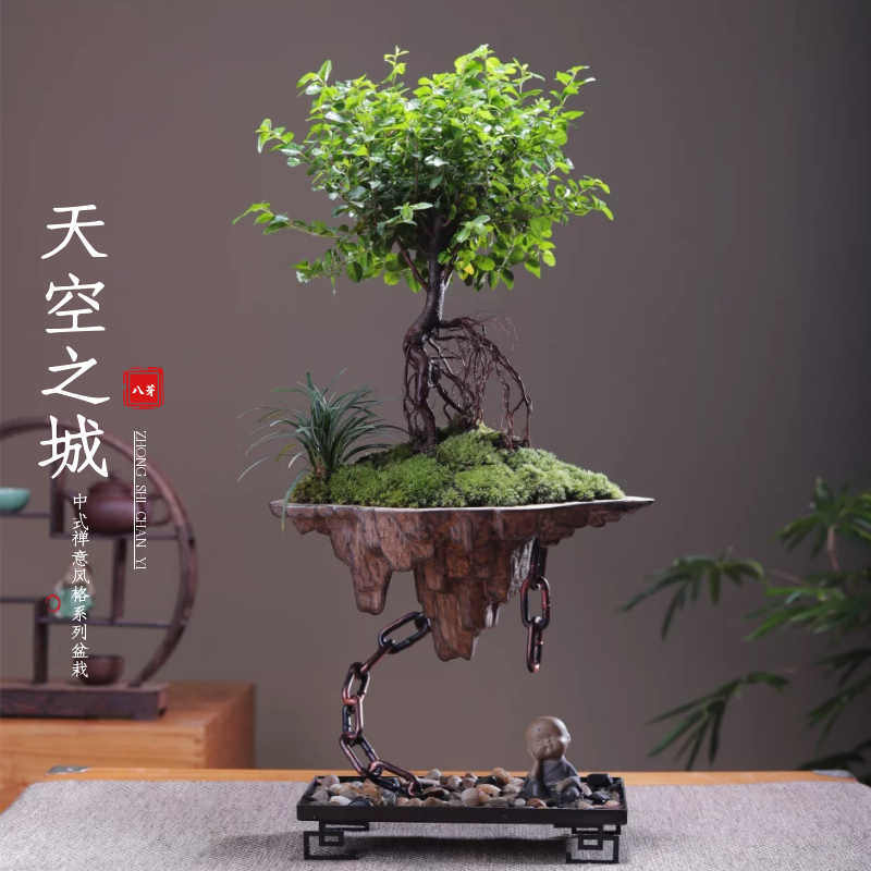 天空之城提根雀梅苔藓悬浮绿植盆景栽办公室内玄关书桌面净化空气