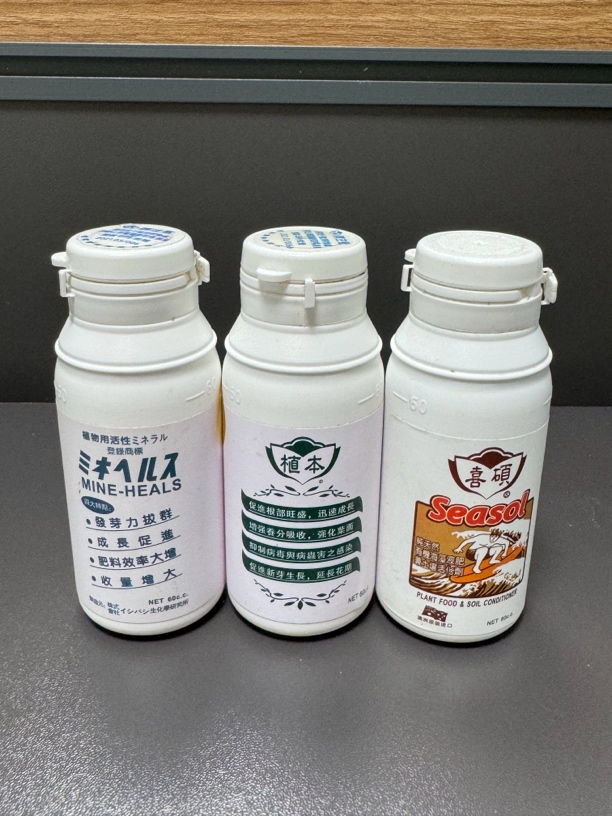 植本植全喜硕 （三瓶）瓶子装 鲜花绿植