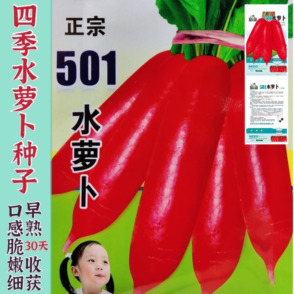 老不糠501水萝卜种子蔬菜种孑春秋季种庭院水果红皮水萝卜种籽