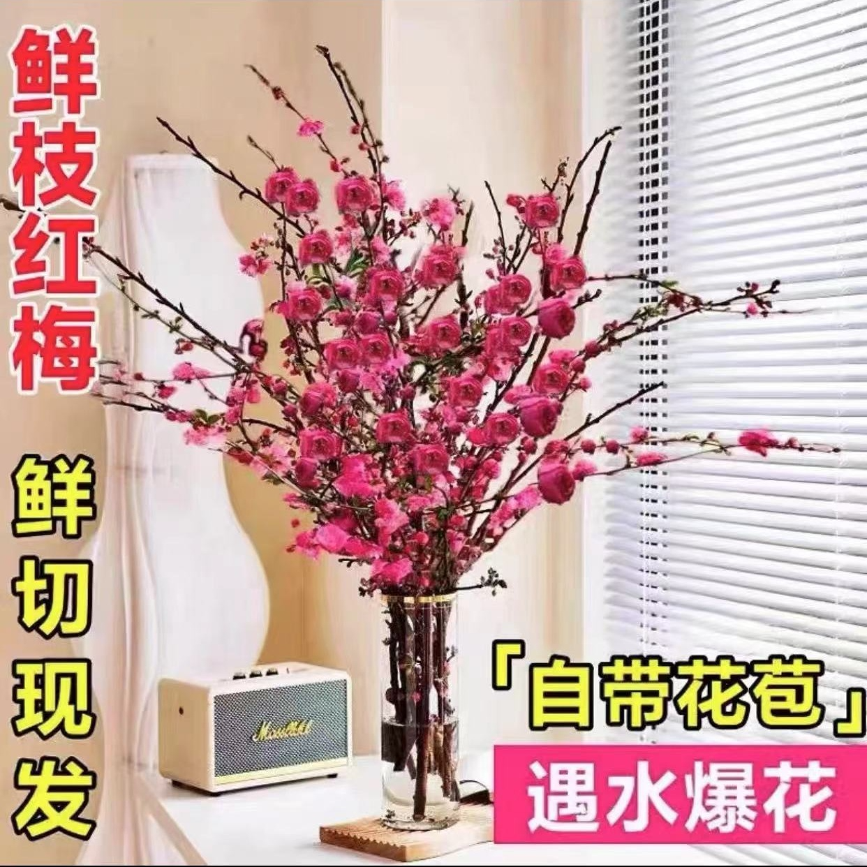 （年宵花卉）水培鲜枝红梅桃花室内水养耐寒好养鲜花枝阳台品种花卉