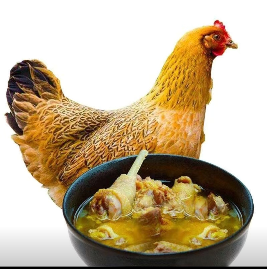 散养正宗新鲜老母鸡鸡肉顺丰冷链包邮