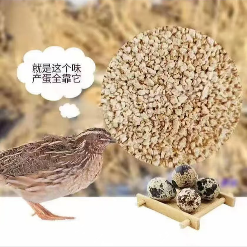鹌鹑专用产蛋饲料
