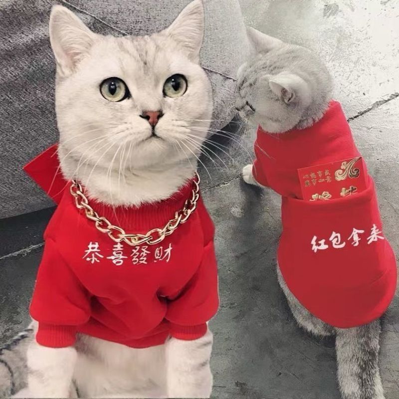 猫咪秋冬新年保暖加绒加厚红色卫衣