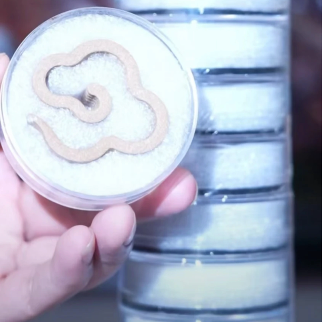 【梨香佰世】海南沉香 大祥云香 