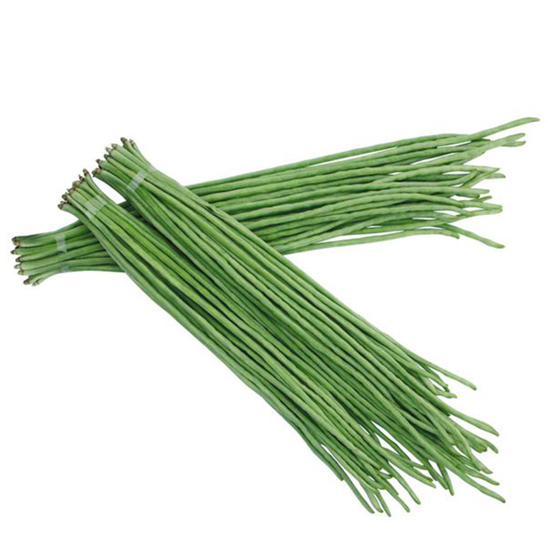 高产豇豆种子特长四季豆秋冬季春夏季豆角种籽大全蔬菜种孑长豆角