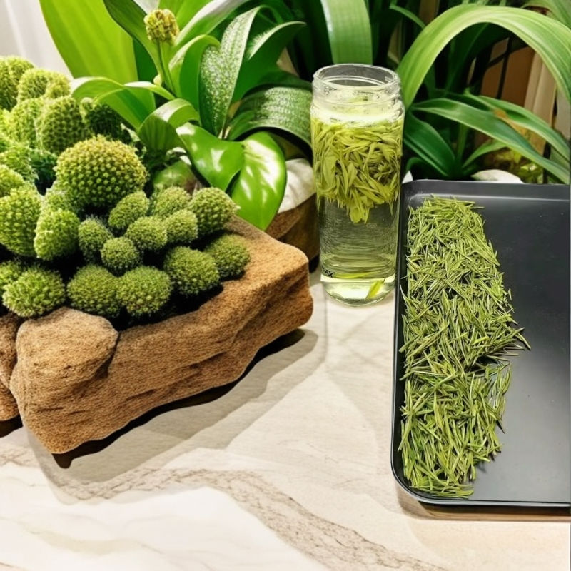 2025年白茶9号200浙江安吉正宗白茶溪龙茶香浓汤感醇厚新茶明前茶