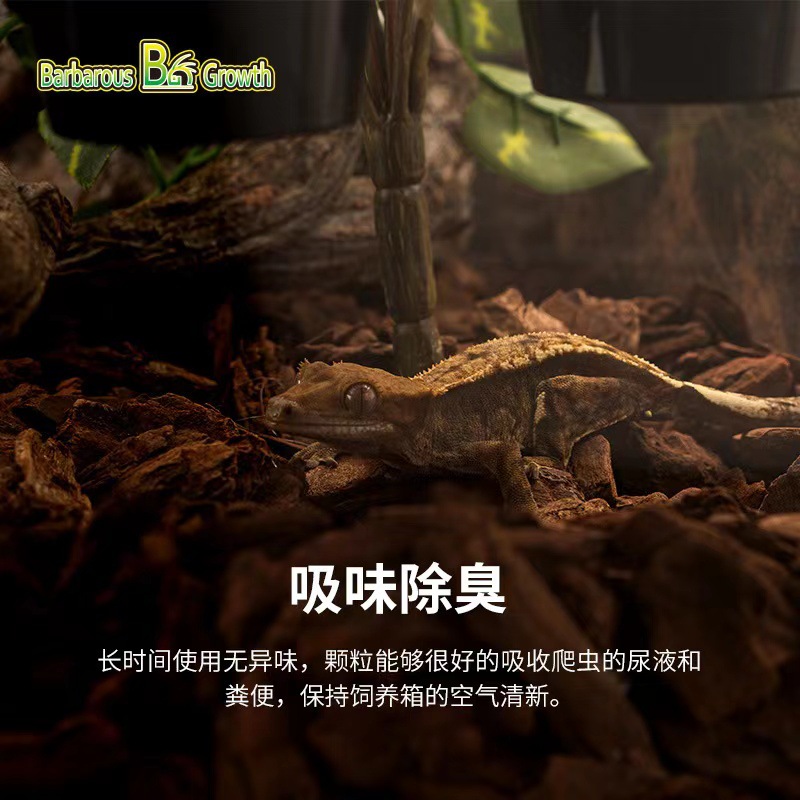 爬宠森林地表树皮垫材陆龟蜥蜴守宫蛇爬虫造景除臭保湿
