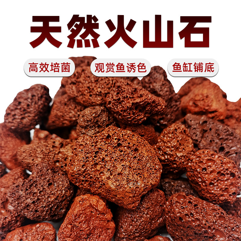 火山石鱼缸过滤材料天然火山石造景底砂水族箱净水锦鲤鱼池火山岩