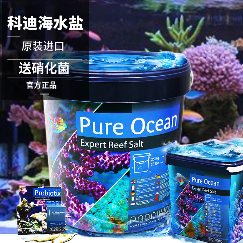 法国科迪海水盐 大师珊瑚盐海水缸盐用法 红软硬珊瑚小丑鱼用海盐