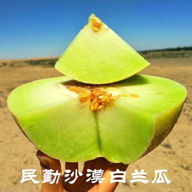 甘肃民勤玉菇银帝白兰瓜冰激凌蜜瓜皮薄肉厚软糯香甜带箱5/6/10斤