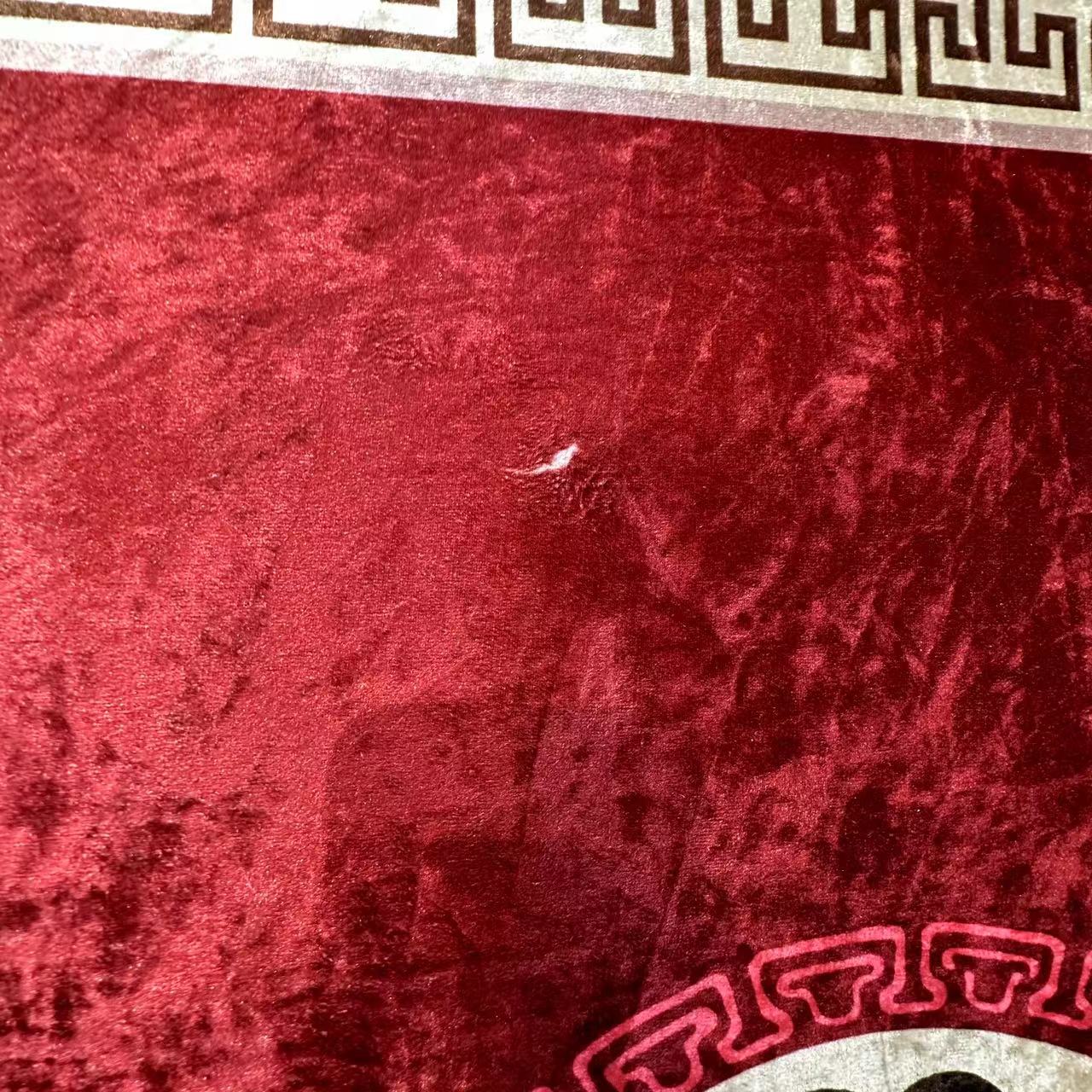 1267家用地毯床边毯卫生间门垫入户门脚垫临时链接多款式多尺寸