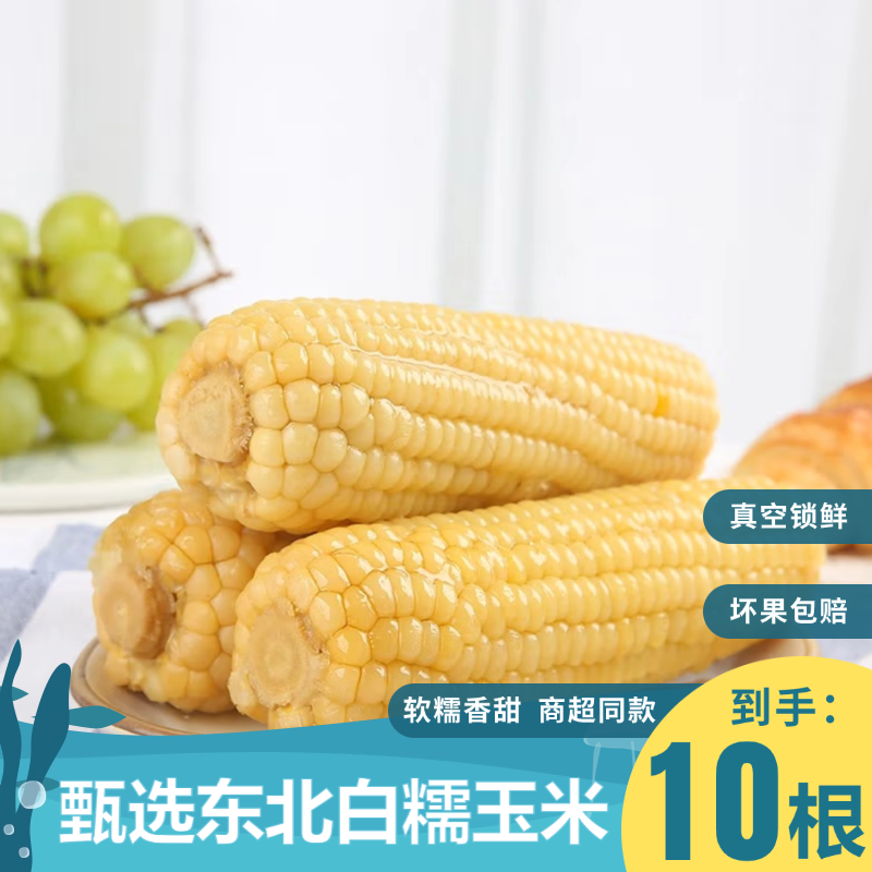 白糯玉米10根 早餐香甜软糯玉米东北优选玉米 真空早餐