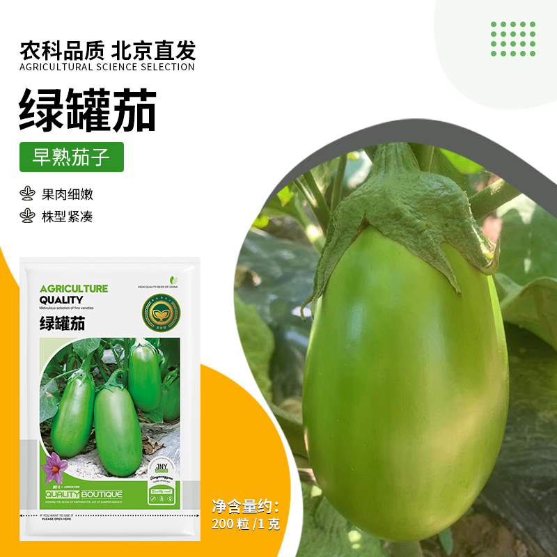 【农科院推荐绿罐茄子种子】早熟茄盆栽四季蔬菜种子简单易种年货节