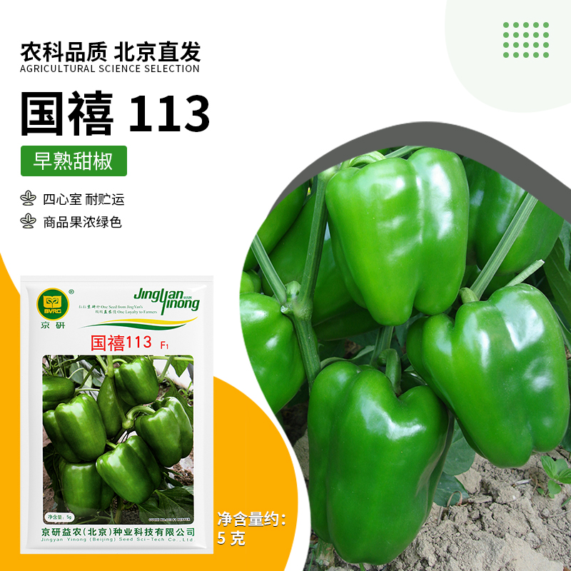 【农科院】灯笼椒种子绿甜椒种子蔬菜种子阳台盆栽小菜园大田专用种