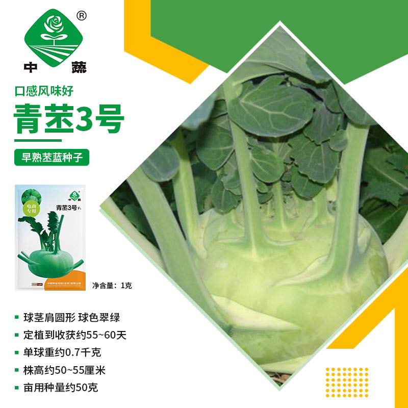 【农科院中蔬】水果苤蓝种子青苤3号农科院秋季种植四季蔬菜种子