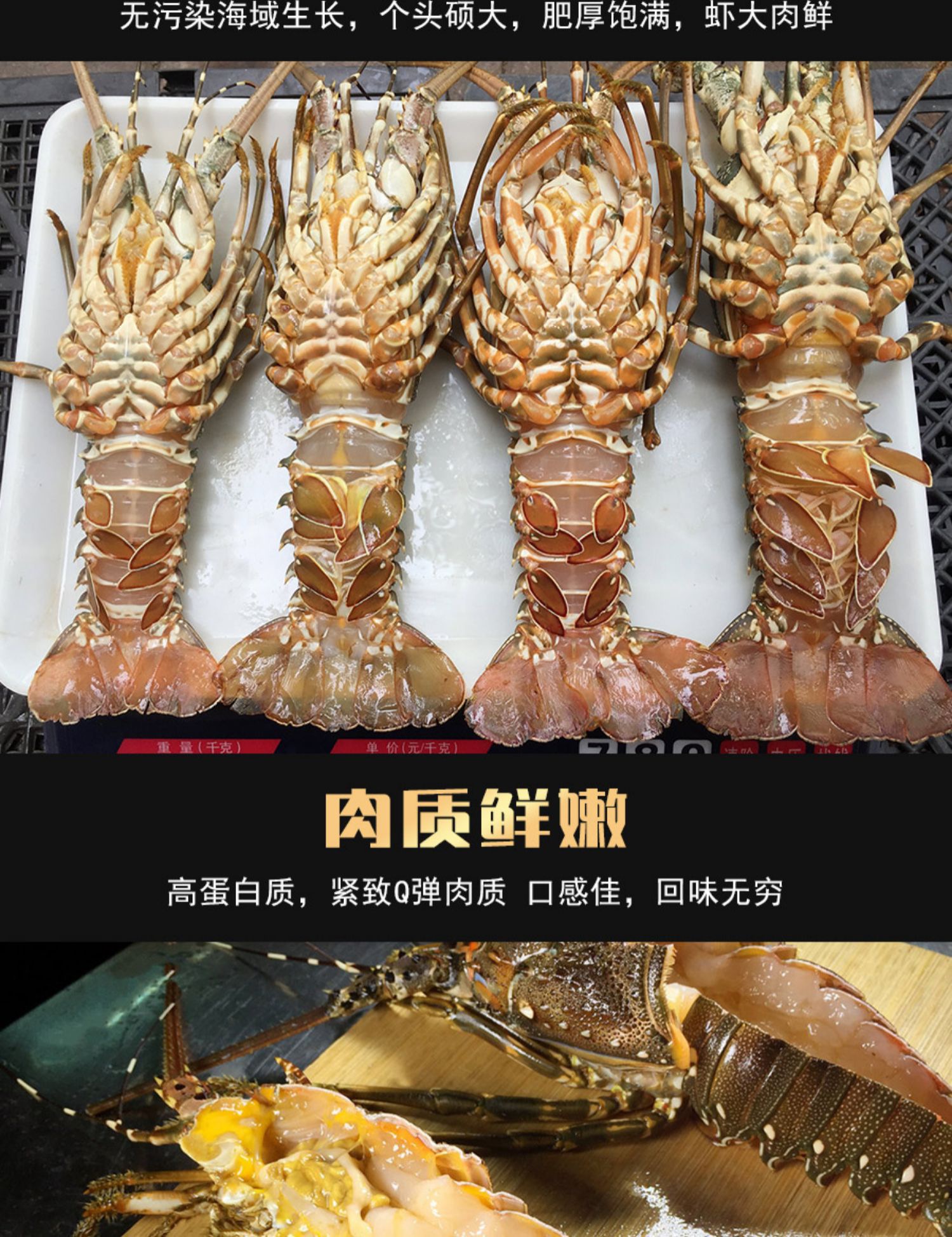 全部缺氧海鲜在这个链接  包鲜不鲜包赔！只卖当天睡着的各种海鲜