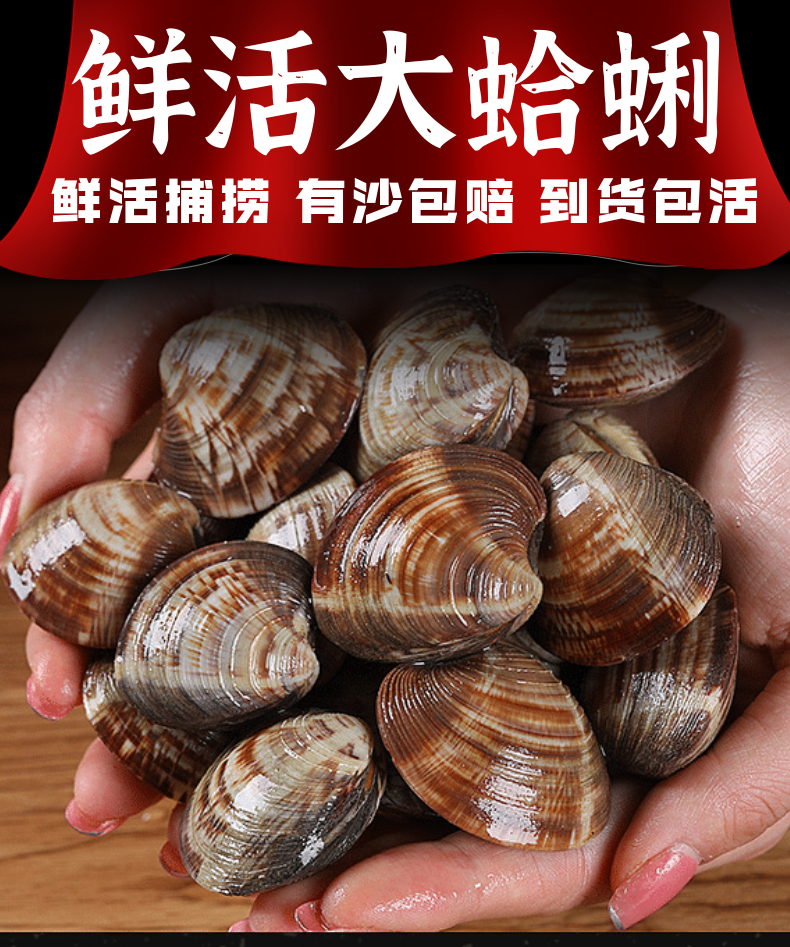 鲜活虎皮贝。（1斤装）无沙。宁夏银川包邮包活（单拍不送）