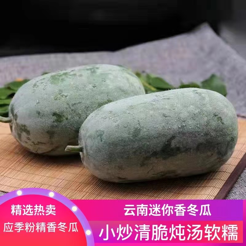 冬瓜 青皮小冬瓜 毛节瓜新鲜现摘农家嫩毛节瓜 新鲜蔬菜