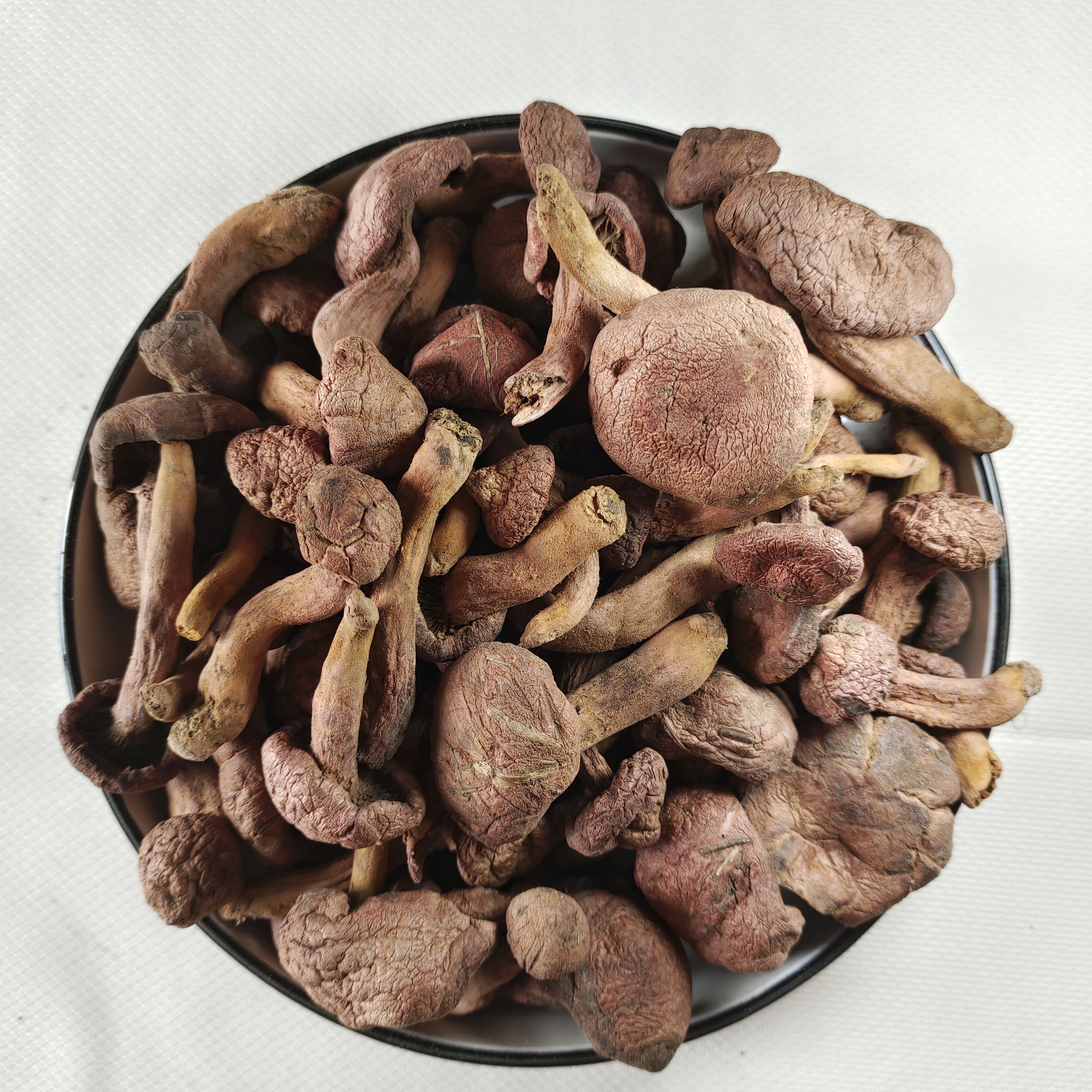 野生红蘑/肉蘑/松树伞小秋板（散装）产自内蒙古赤峰