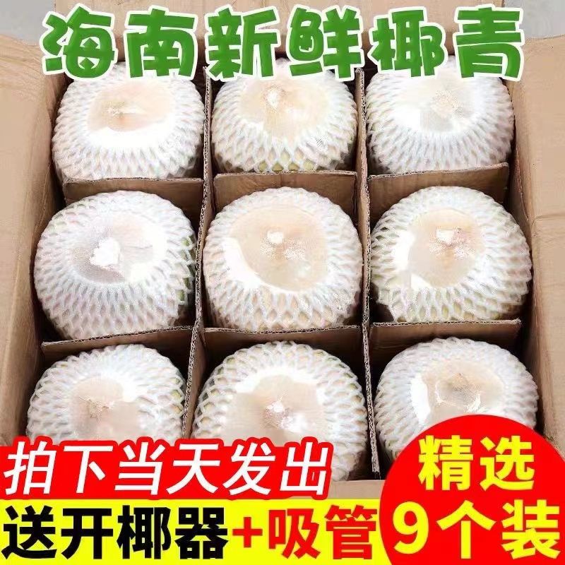 【大杨】海南椰青个新鲜椰子水果孕妇去皮香椰皇椰汁一整箱当季特