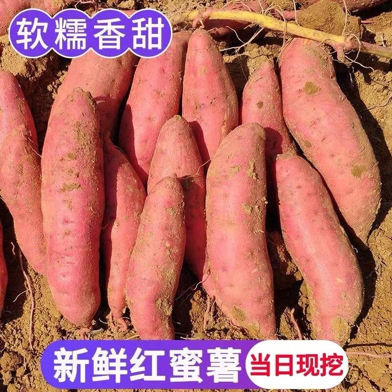 【大杨】新鲜现挖红薯龙九蜜薯黄心蜜薯糖心番薯农家自种沙地红