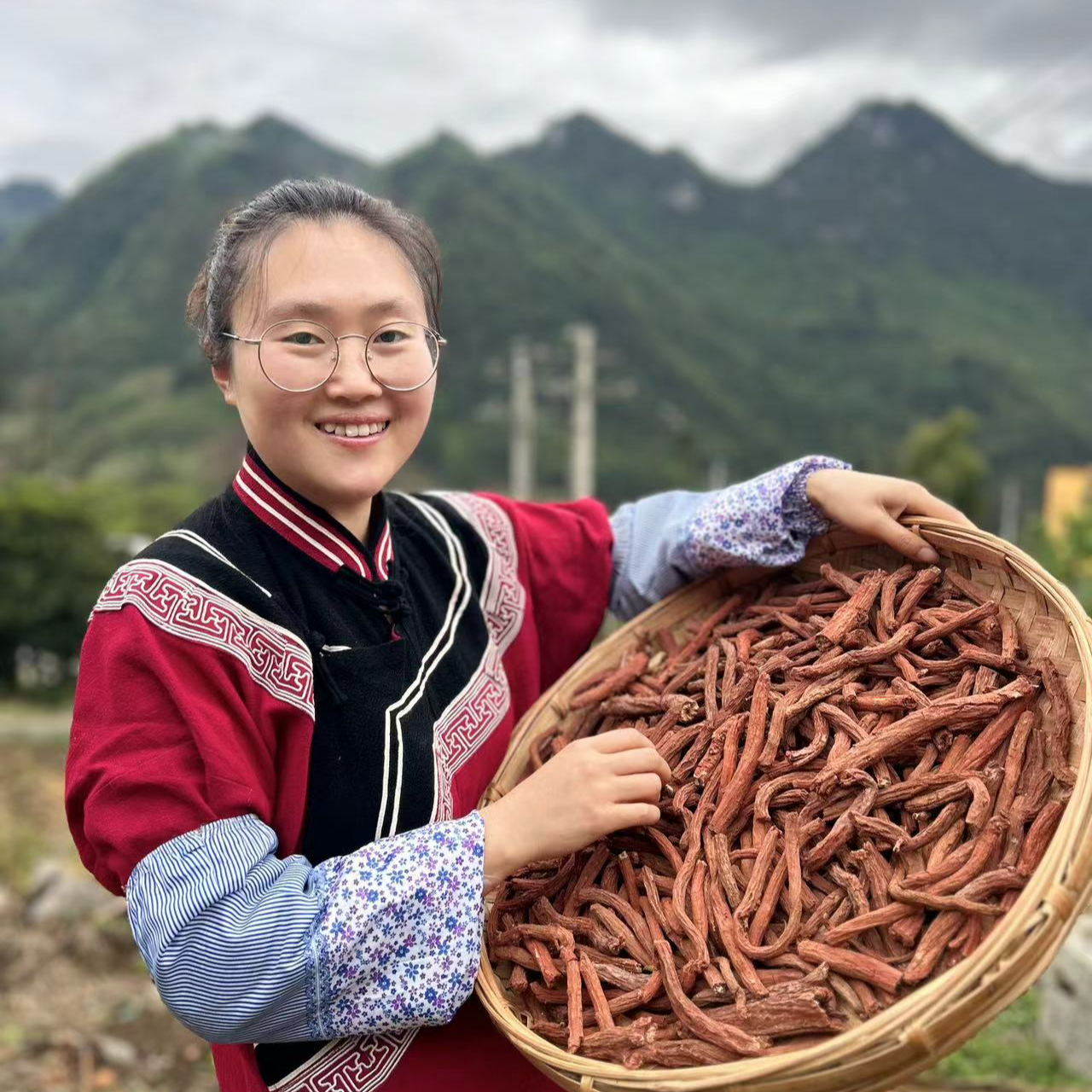 【紫皮丹参】云南深山土产 紫皮丹参 深山采挖 初级农产品